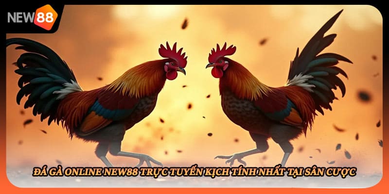 Đá Gà Online New88 Trực Tuyến Kịch Tính Nhất Tại Sân Cược