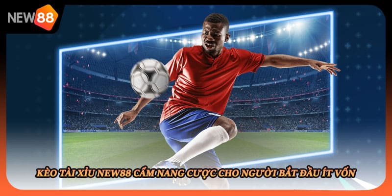 Kèo Tài Xỉu New88 Cẩm Nang Cược Cho Người Bắt Đầu Ít Vốn