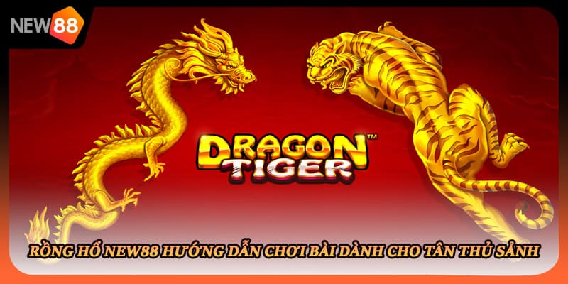 Rồng Hổ New88 Hướng Dẫn Chơi Bài Dành Cho Tân Thủ Sảnh